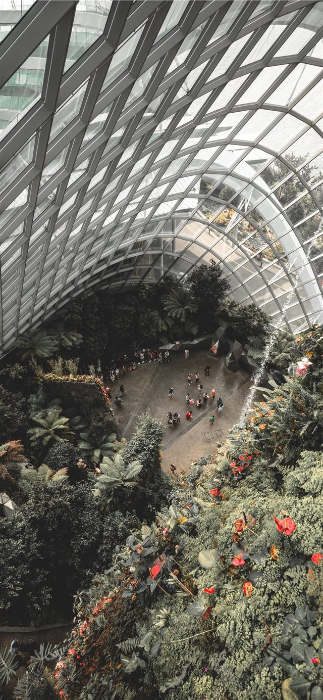View From The Top Of The Cloud Forest Iphone X Wallpaper - Best Building In Future - HD Wallpaper 