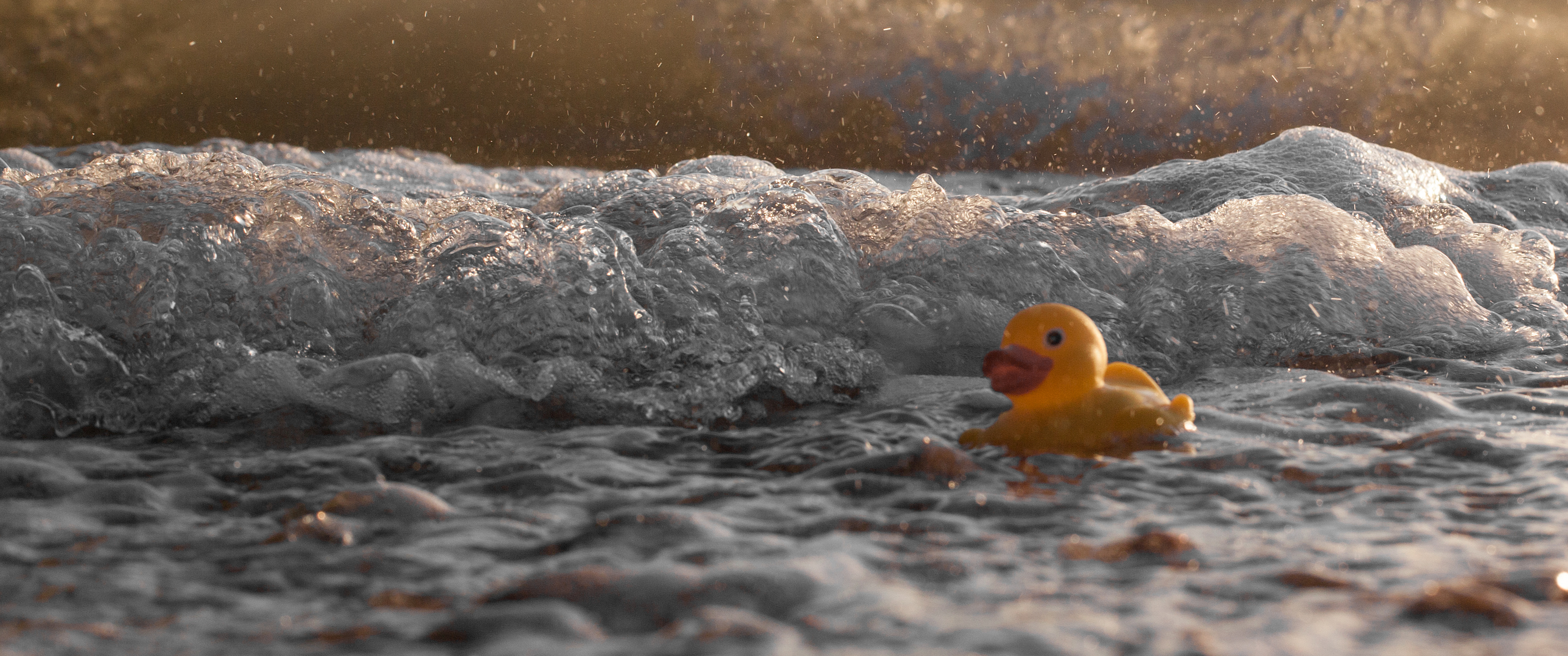 Rubber Ducky Ultrawide Wallpaper - Ducks 21 9 - HD Wallpaper 