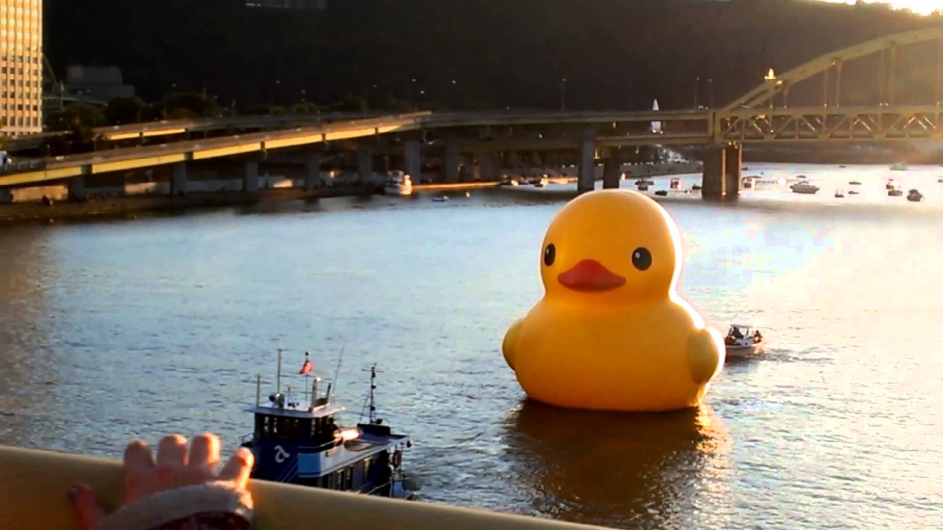 Giant Rubber Duck Wallpaper - Giant Rubber Duck - HD Wallpaper 