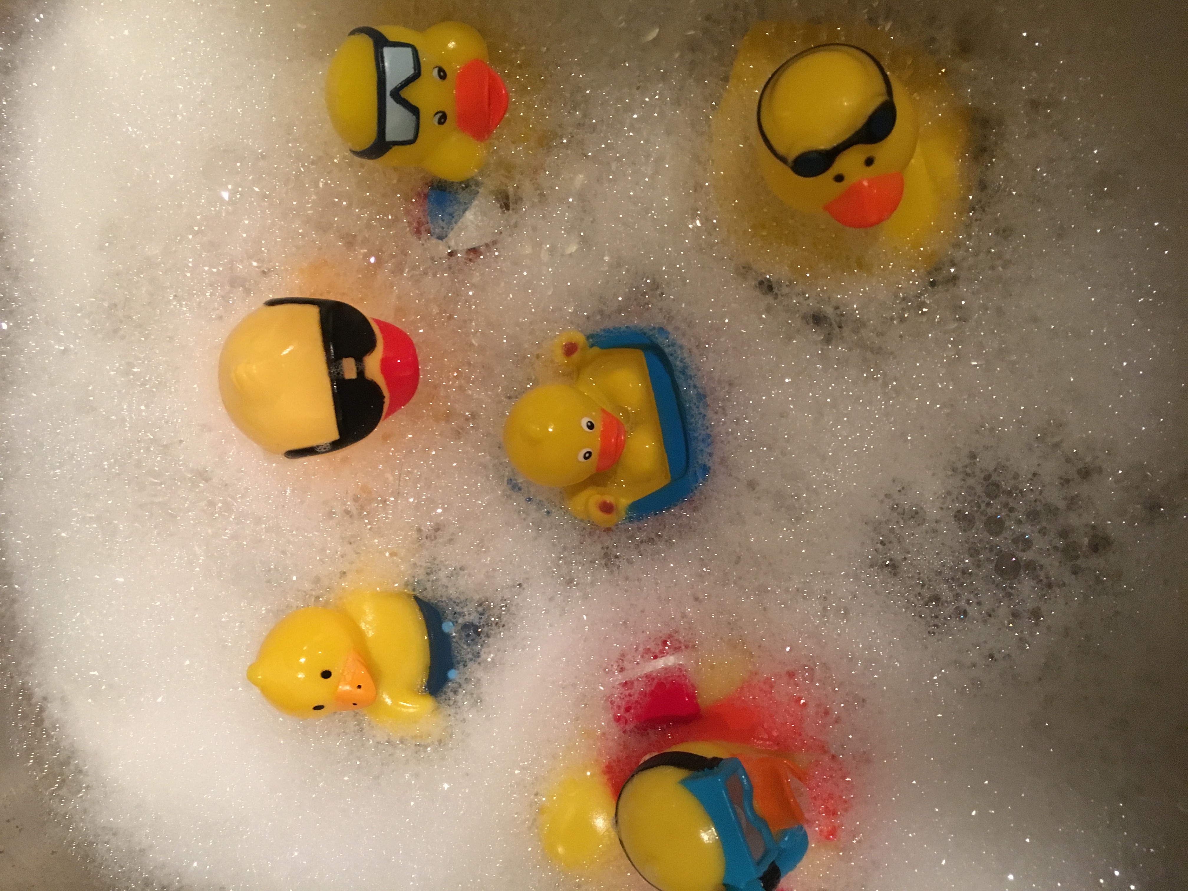 Img 0849 - Rubber Ducky - 4032x3024 Wallpaper - teahub.io