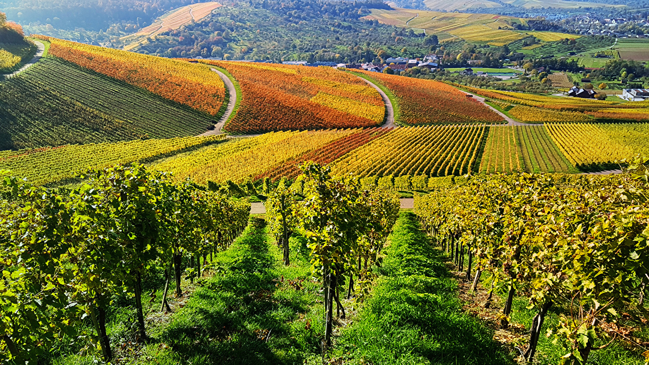 Germany Fields - HD Wallpaper 