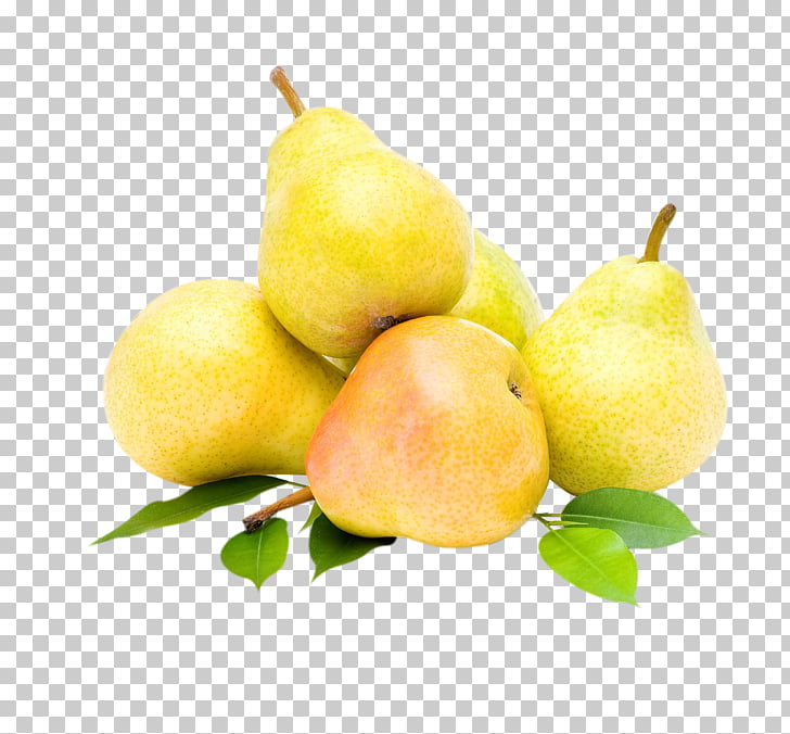 Colored Pencil Png - HD Wallpaper 