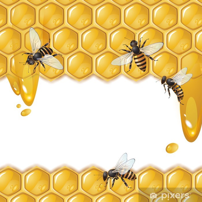 Fondo De Abejas - HD Wallpaper 