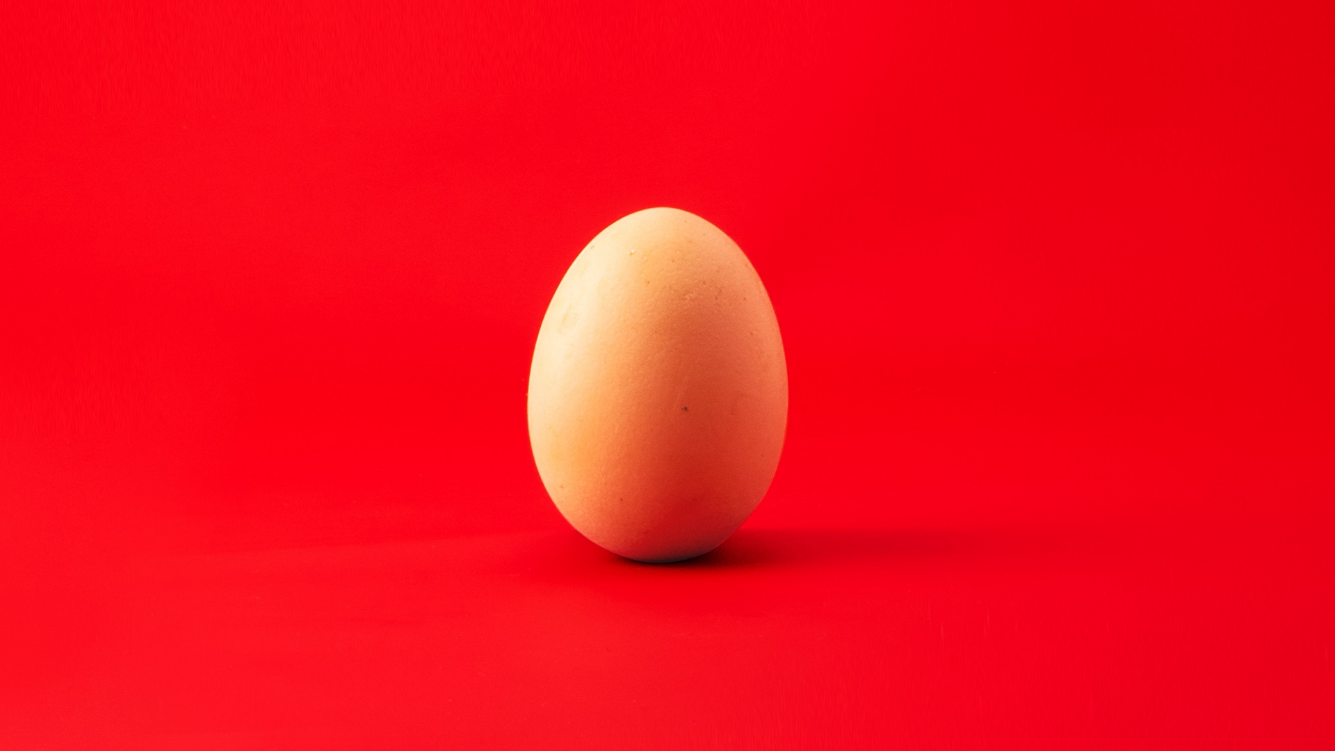 Wallpaper Egg, Chicken Egg, Red, Minimalism - Hd Egg - HD Wallpaper 