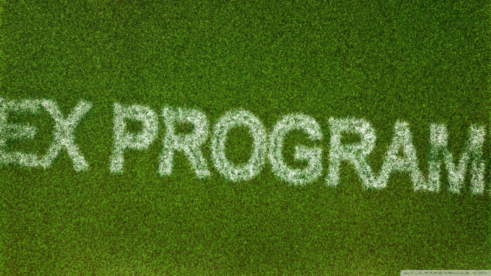 Lawn - HD Wallpaper 