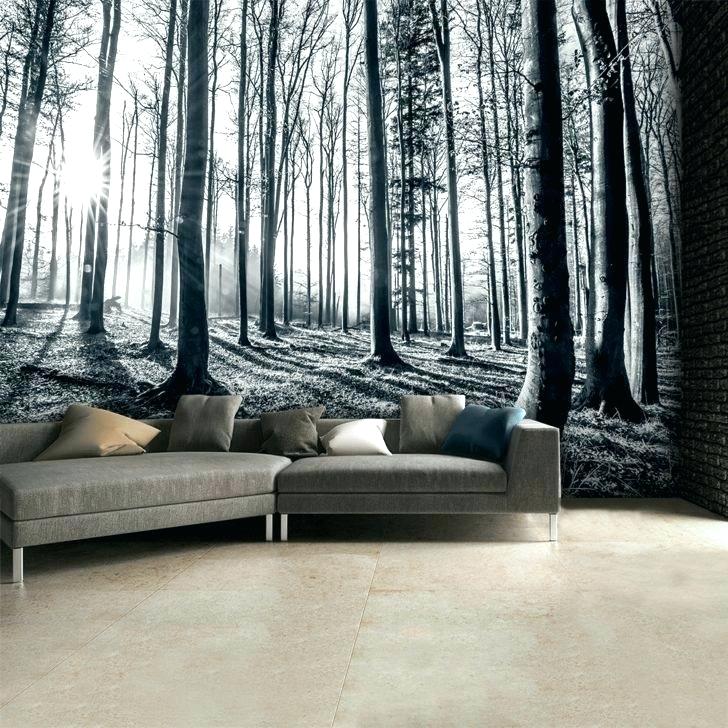 Tree Mural Wallpaper Medium Size Of For Walls Guides - HD Wallpaper 