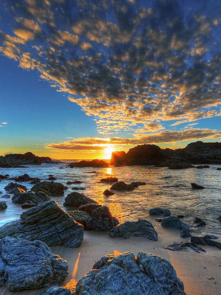 Portrait Mode Wallpaper - HD Wallpaper 