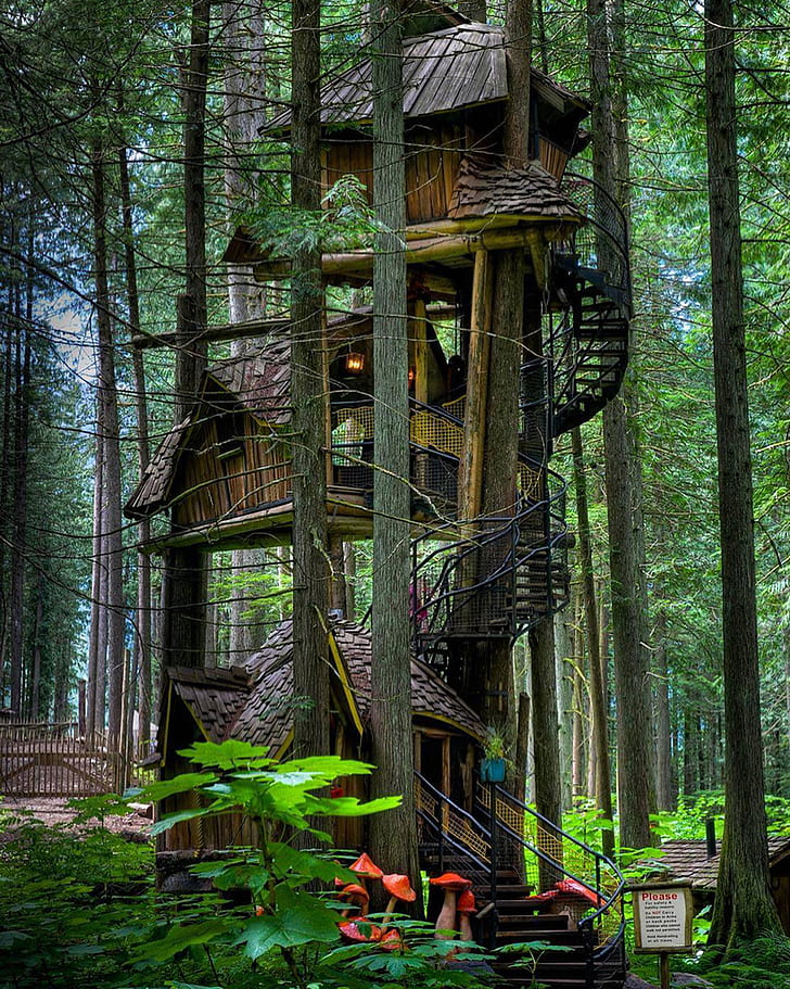 Trees, Forest, Nature, Treehouse, Tree Trunk, Portrait - Tree House - HD Wallpaper 