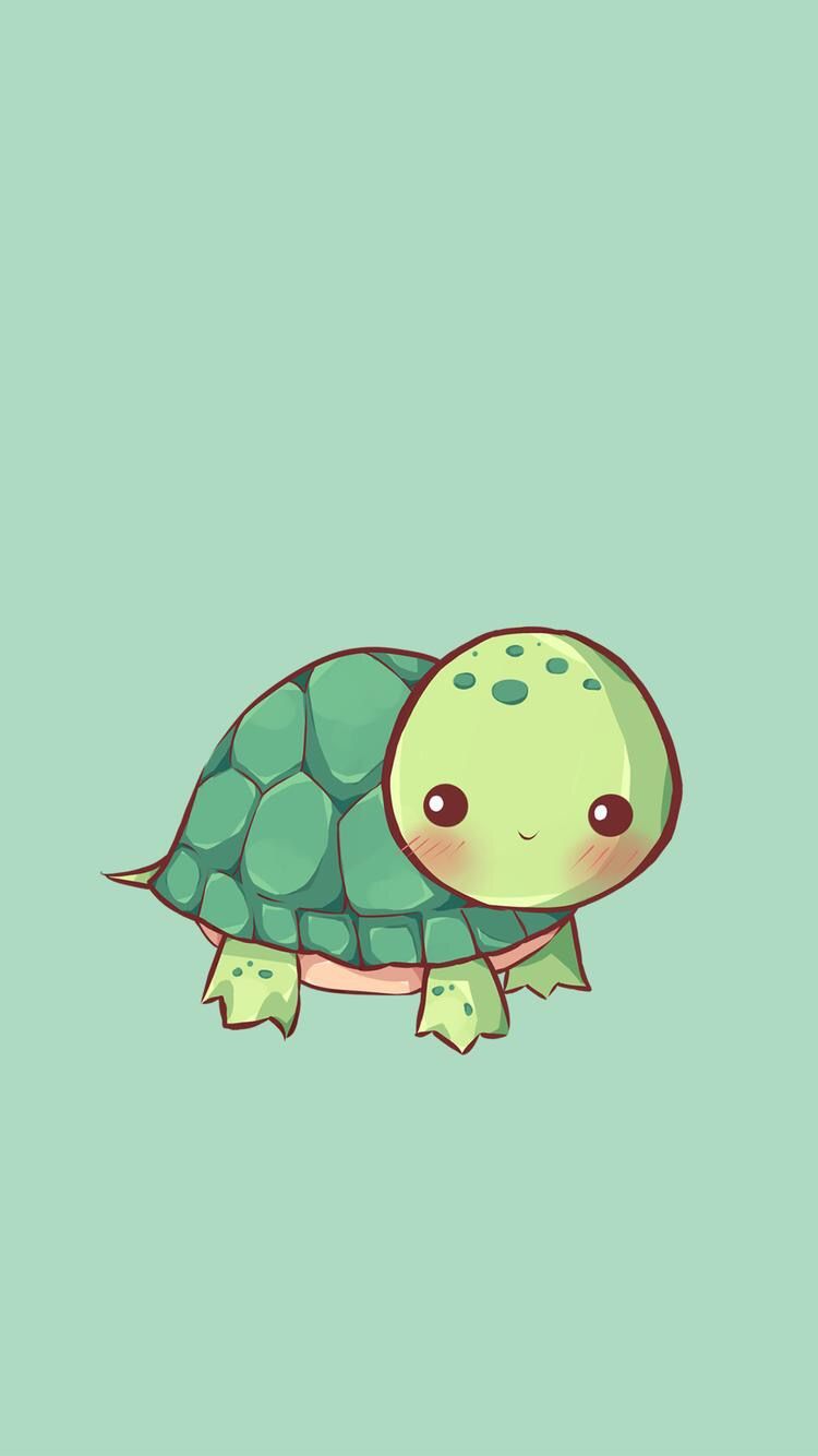 Cute Wallpaper Turtle - HD Wallpaper 
