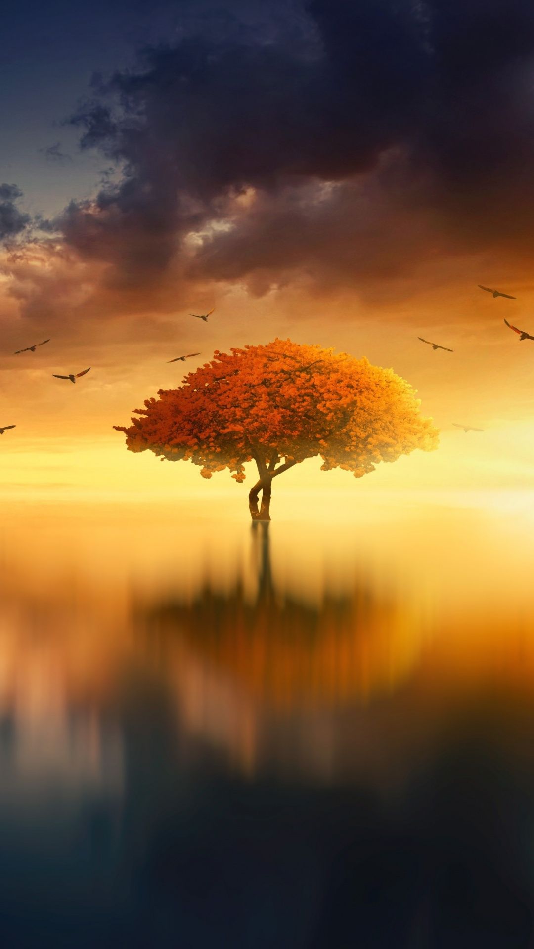 Hd Wallpapers For Realme 3 - 1080x1920 Wallpaper - teahub.io