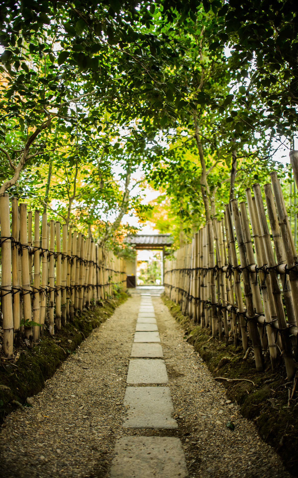 Japan Full Hd Vertical - HD Wallpaper 