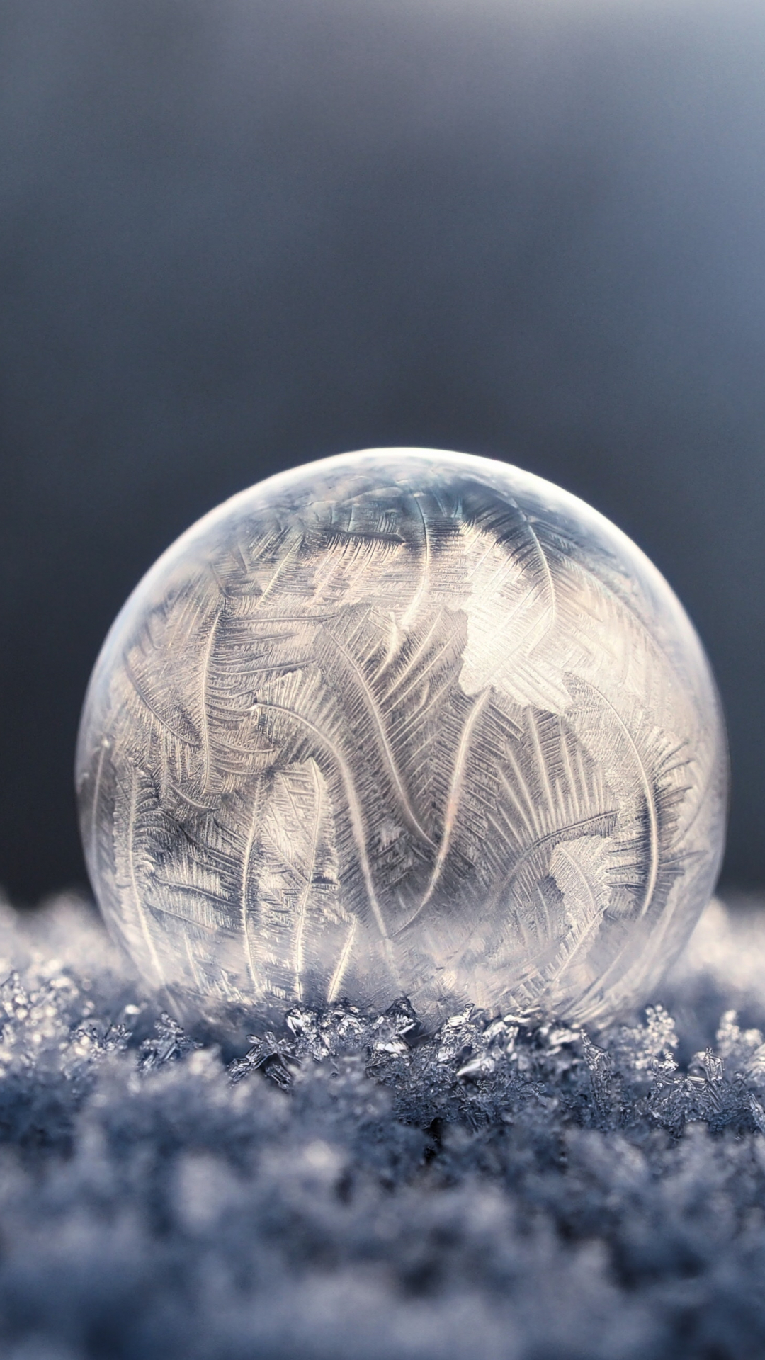 Winter Ball Iphone Wallpaper - Ice Bubble - HD Wallpaper 