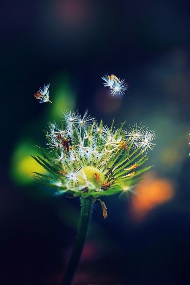 Super Hd Wallpapers For Mobile - HD Wallpaper 