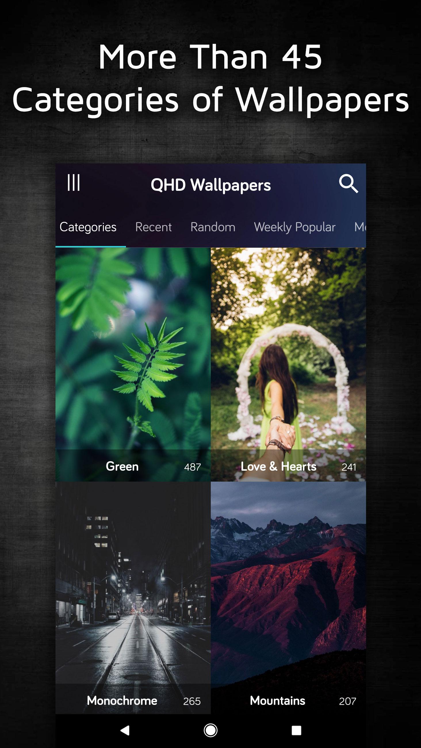 Attalea Speciosa - HD Wallpaper 