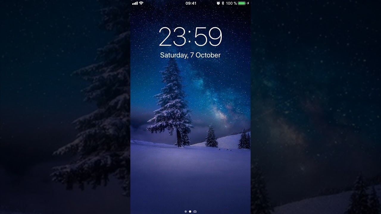 Shortleaf Black Spruce - HD Wallpaper 