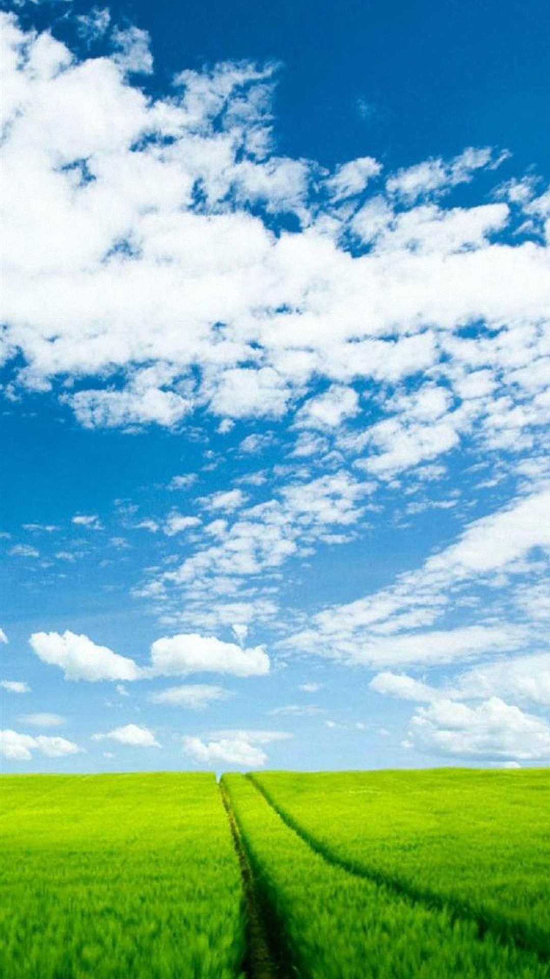 Hd Sky Grass Samsung Galaxy S4 S5 Wallpapers - Hd Samsung Galaxy S4 - 1080x1920 Wallpaper Hd Sky Grass Samsung Galaxy S4 S5 Wallpapers - Hd Samsung Galaxy S4 - 1080x1920 Wallpaper