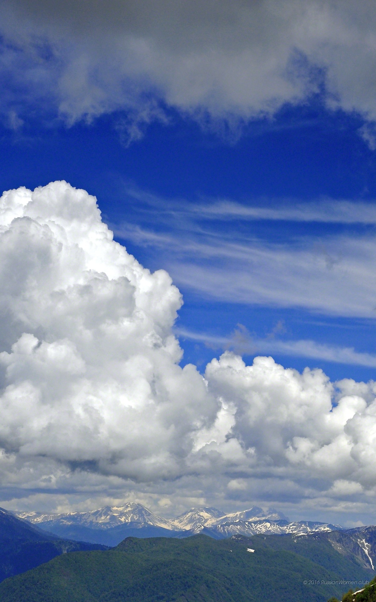 Mobile Backgrounds Free Download - Papel De Parede Para Zenfone - HD Wallpaper 