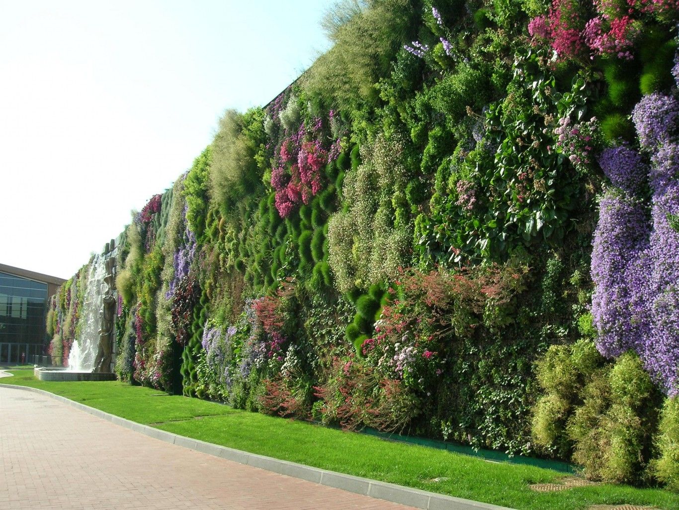 Vertical Garden - HD Wallpaper 