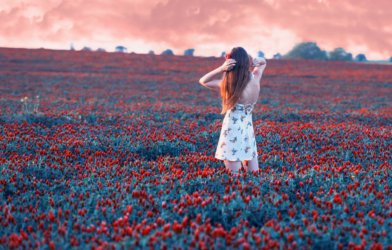 Photo Wallpaper Girl, Red, Nature, Sky, Rose, Flowers, - Girl In Rose Field - HD Wallpaper 