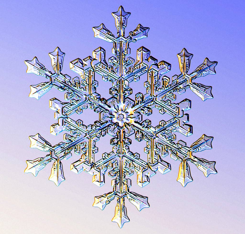 Snowflake Photographs - HD Wallpaper 