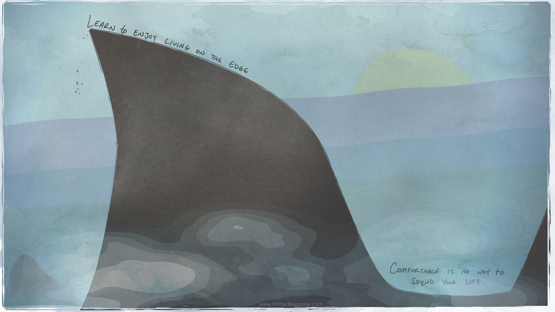 Life Living 1920x1080 Wallpaper teahub.io