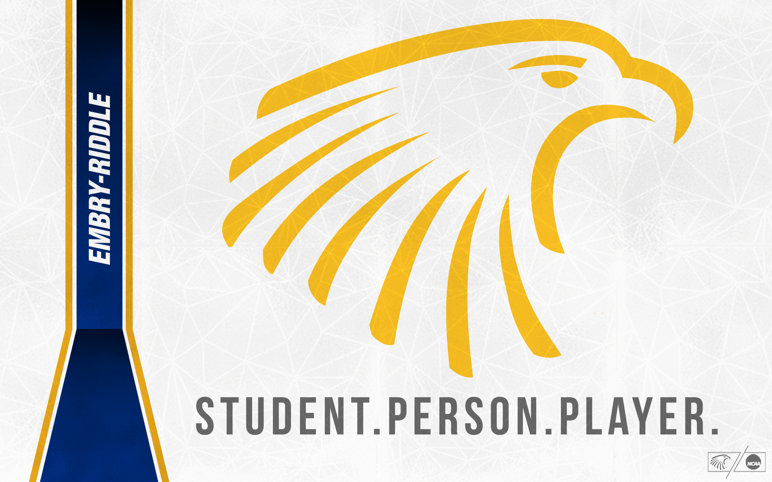 Embry–riddle Aeronautical University - HD Wallpaper 