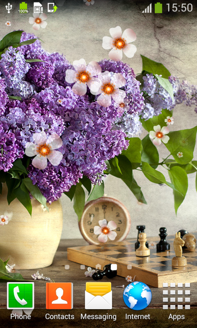 Cute Lilac Pictures Of Flowers - HD Wallpaper 