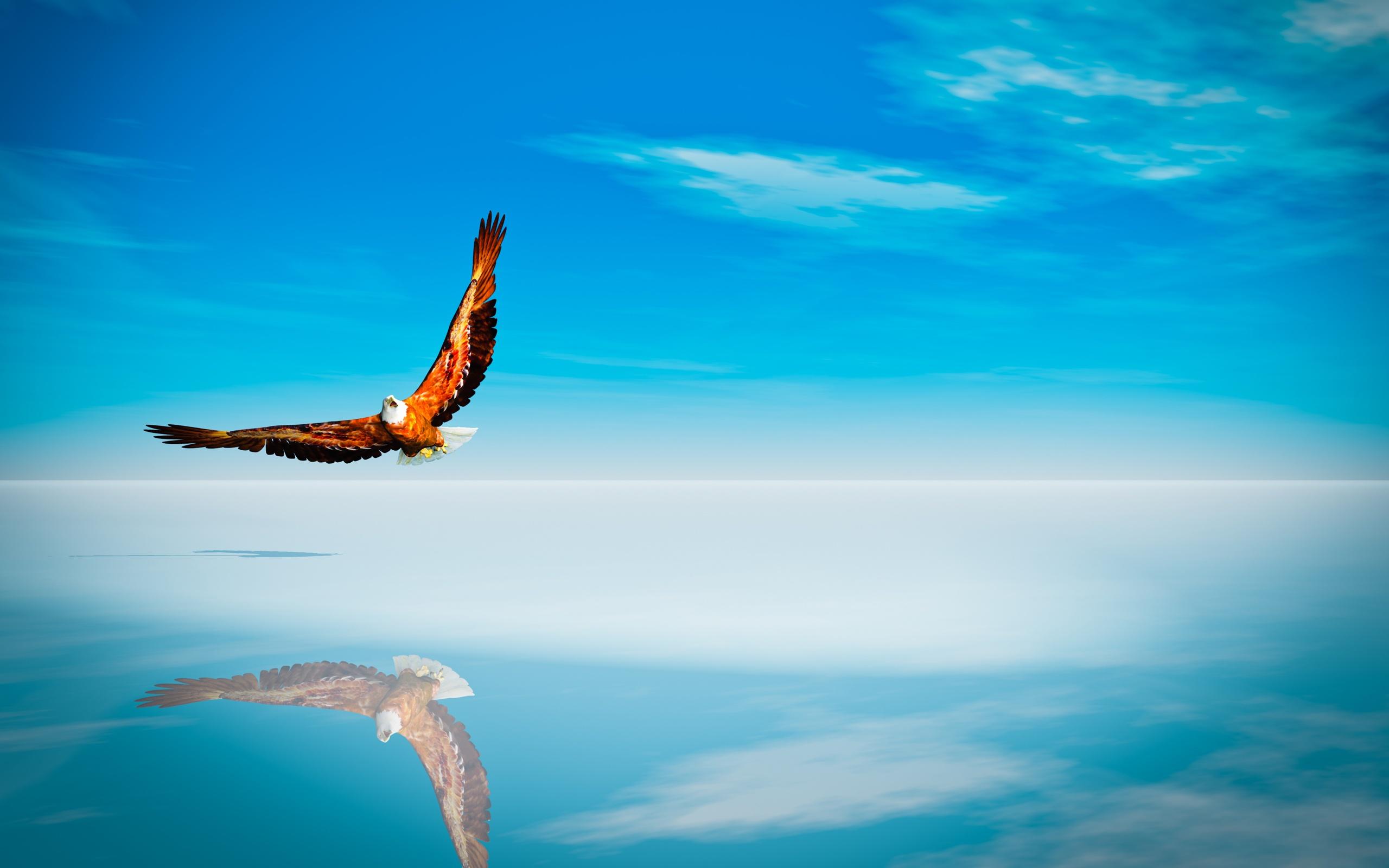 Golden Eagles Wings Wallpaper Hd - Eagle In Sky Background - HD Wallpaper 