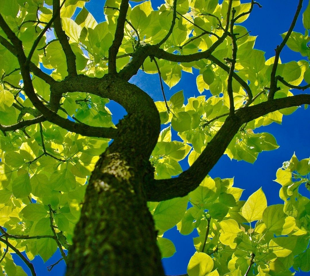 Super Mobile Wallpapers Hd Download - HD Wallpaper 