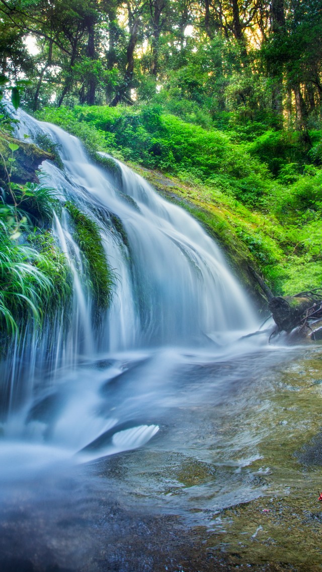 Forest, 5k, 4k Wallpaper, 8k, Rocks Trees, Plants, - Waterfall Wallpaper Nature Flower - 640x1138 Wallpaper Forest, 5k, 4k Wallpaper, 8k, Rocks Trees, Plants, - Waterfall Wallpaper Nature Flower - 640x1138 Wallpaper