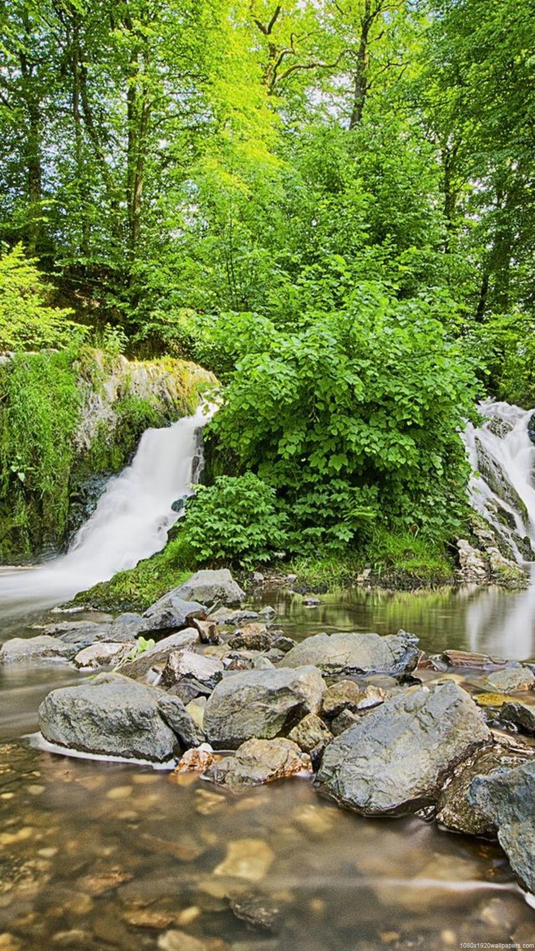 Tree Green Waterfall Nature Forest Wallpapers Hd - Mobile Wallpaper Hd 1080p Nature Green - HD Wallpaper 