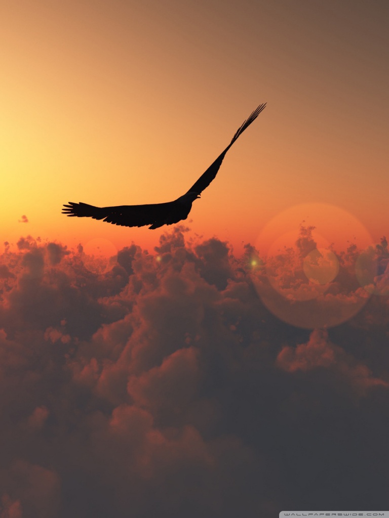 Flying Eagle Wallpaper Iphone - HD Wallpaper 