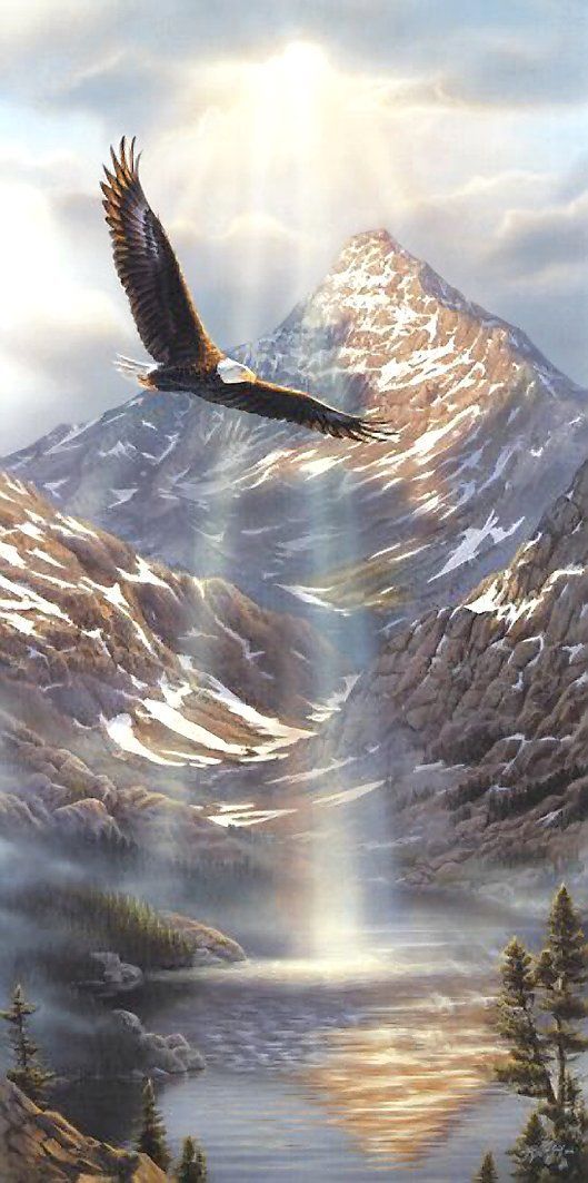 Eagle Landscape Wallpaper Luxury 562 Best Bald Eagle - Rick Kelley Reflections Of Freedom - HD Wallpaper 