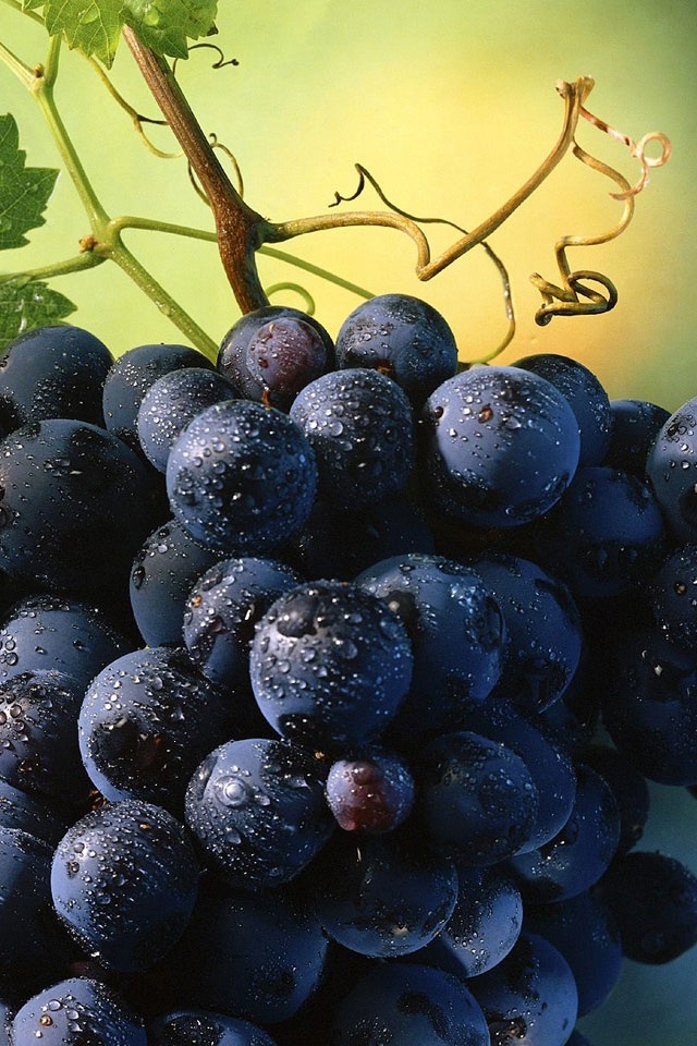 ぶどう 壁紙 Iphone 640x960 Wallpaper Teahub Io