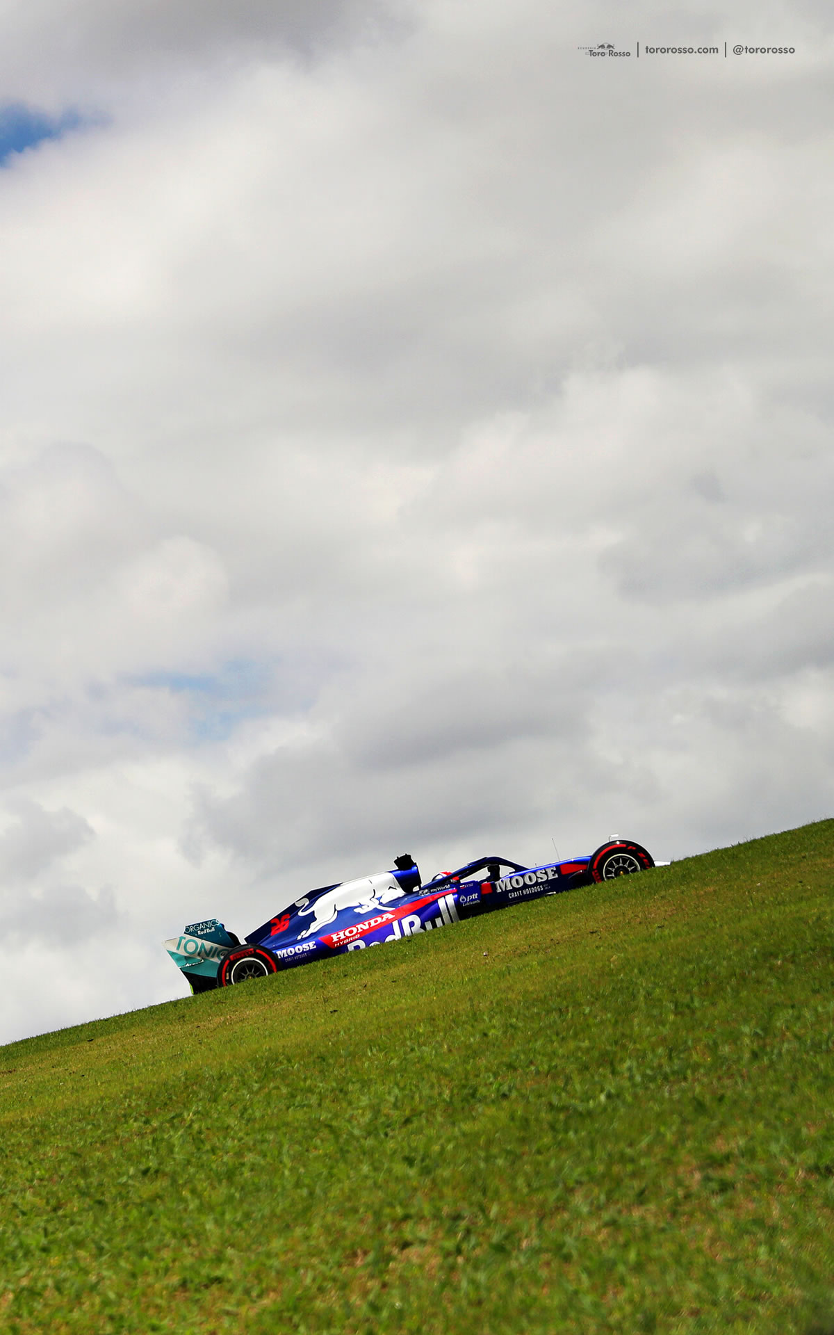 Grass - HD Wallpaper 