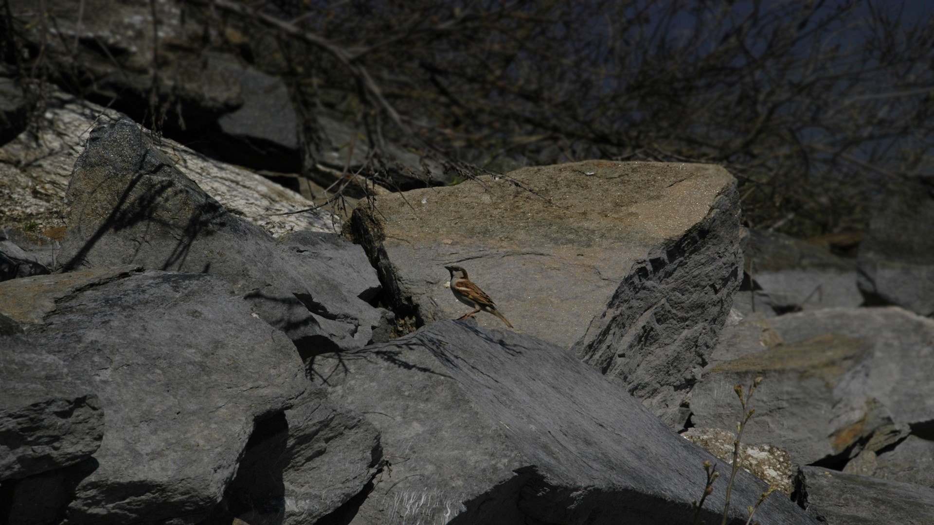 Outcrop - HD Wallpaper 