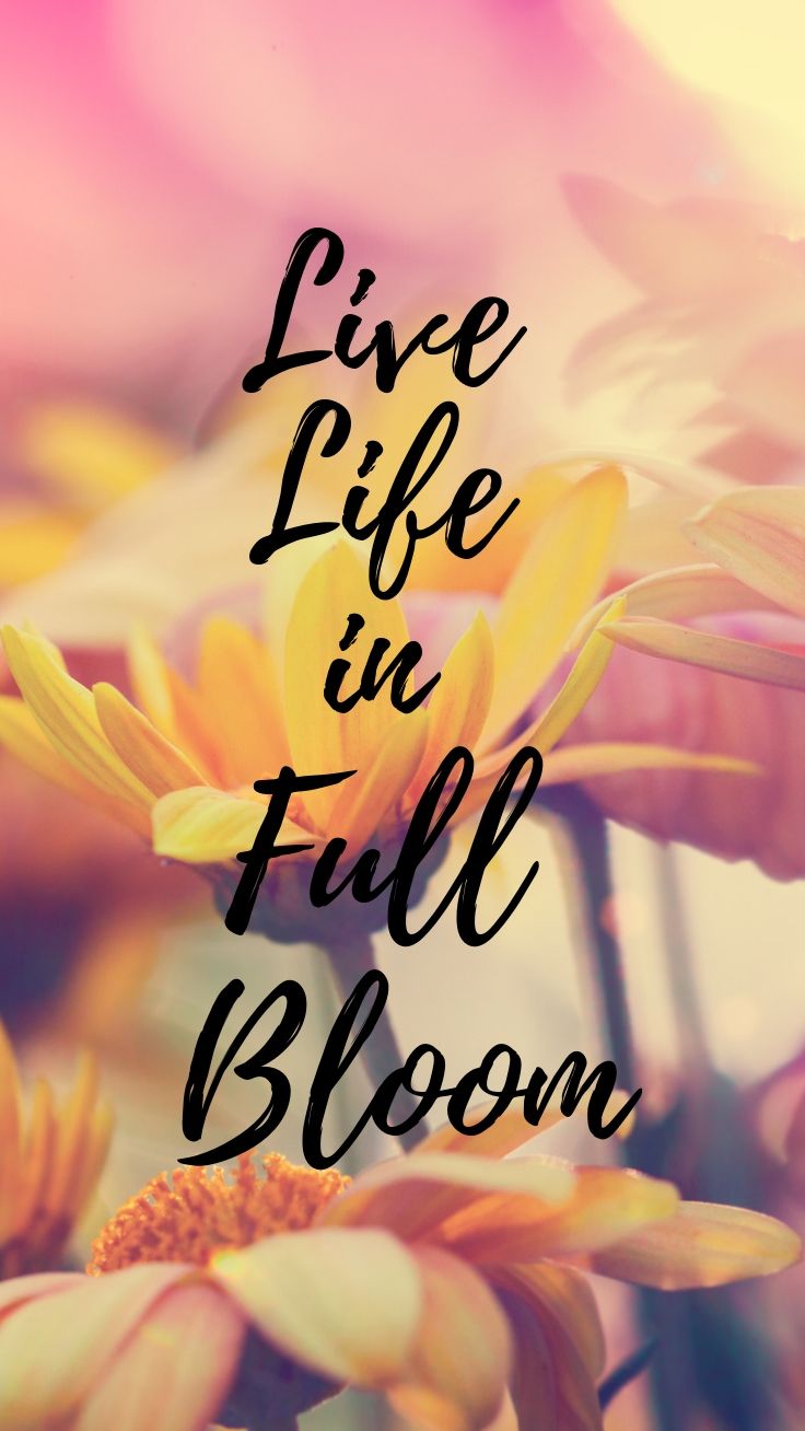 Positivity Boost Iphone Wallpaper Collection By Preppywallpapers - Positivity - HD Wallpaper 