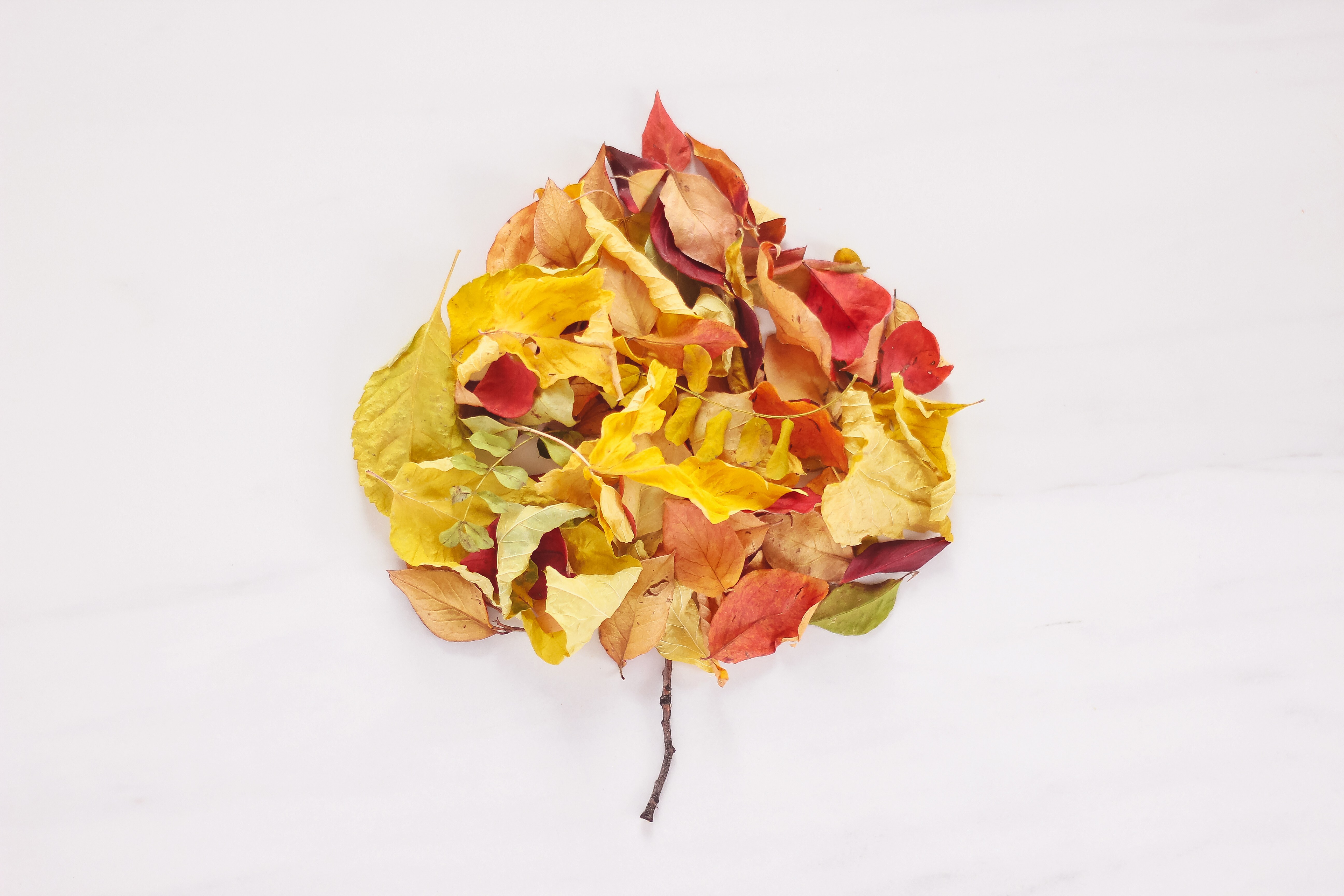 Artificial Flower - HD Wallpaper 