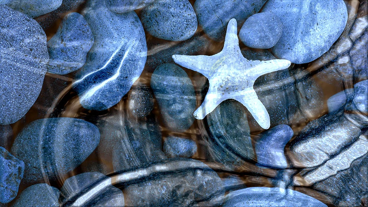 Hd Animated Wallpapers Close Up - 3d Moving Wall Papers Download - HD Wallpaper 