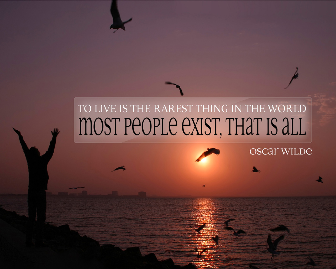 Sunset - HD Wallpaper 