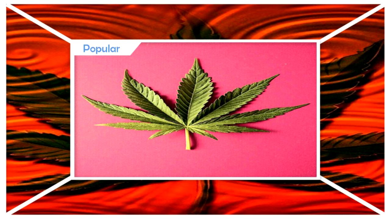 High Maker Weed Live Wallpaper For Android Apk Download - Android - HD Wallpaper 