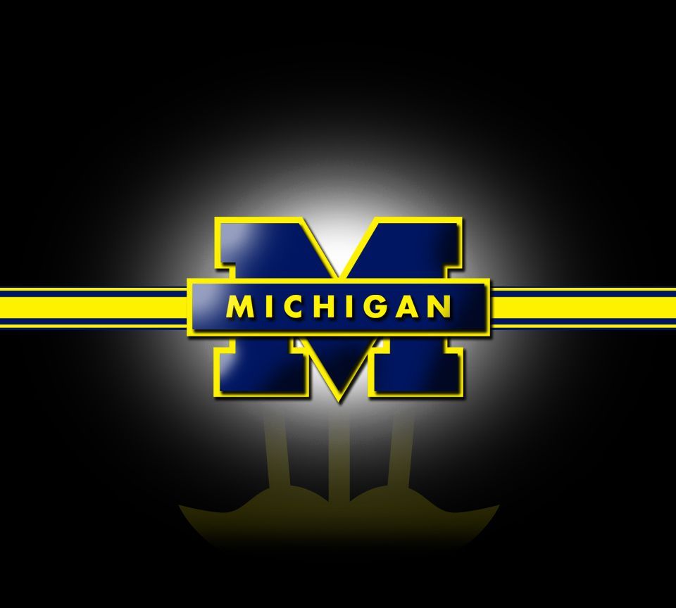 Michigan Wolverines - HD Wallpaper 