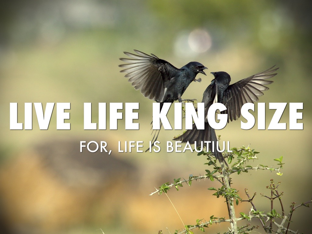 Live Life King Size For, Life Is Beautiul - Live A Life King Size Hd - HD Wallpaper 