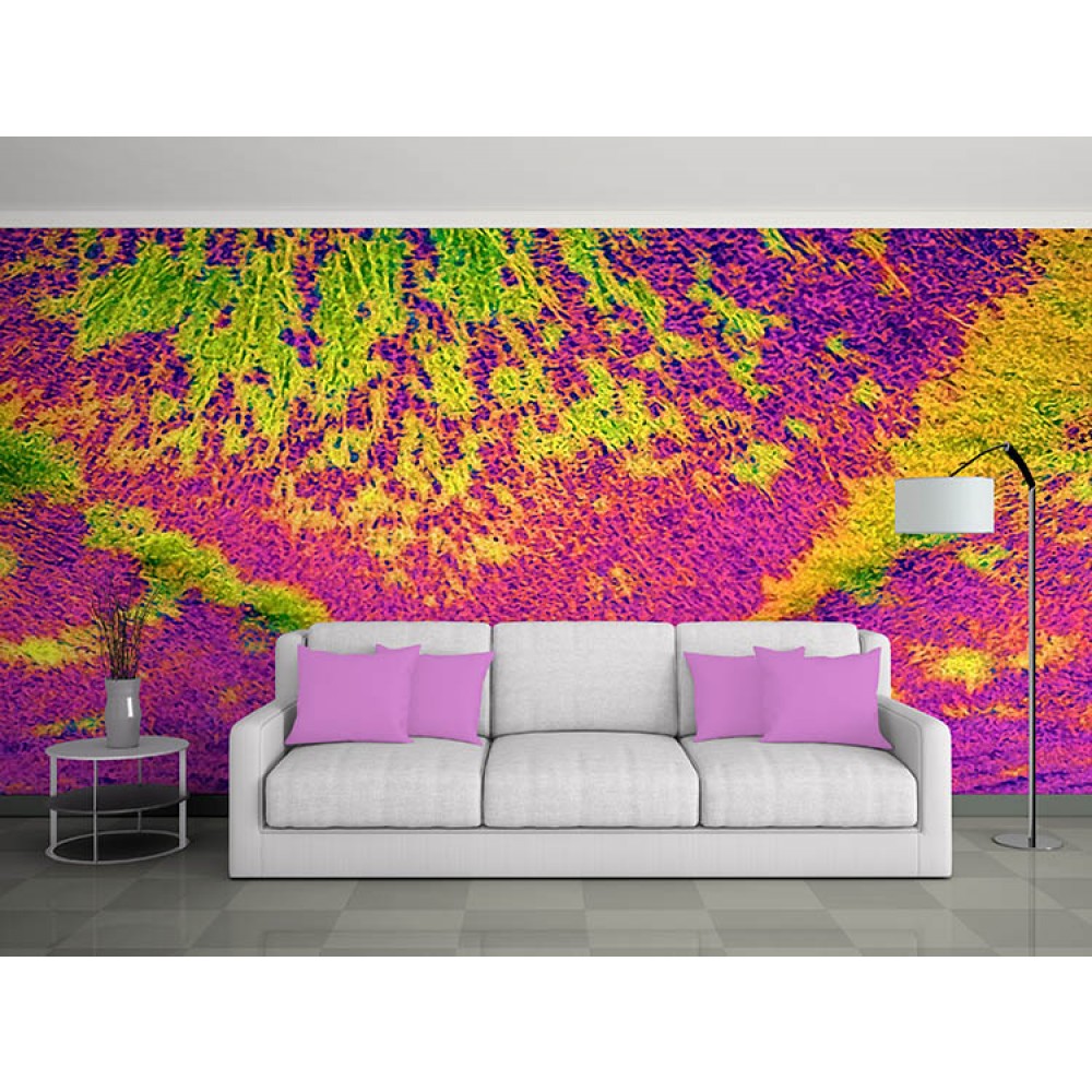 Buy Large Size Modern 3d Nature Wallpaper For Walls - Studio Couch - HD Wallpaper 