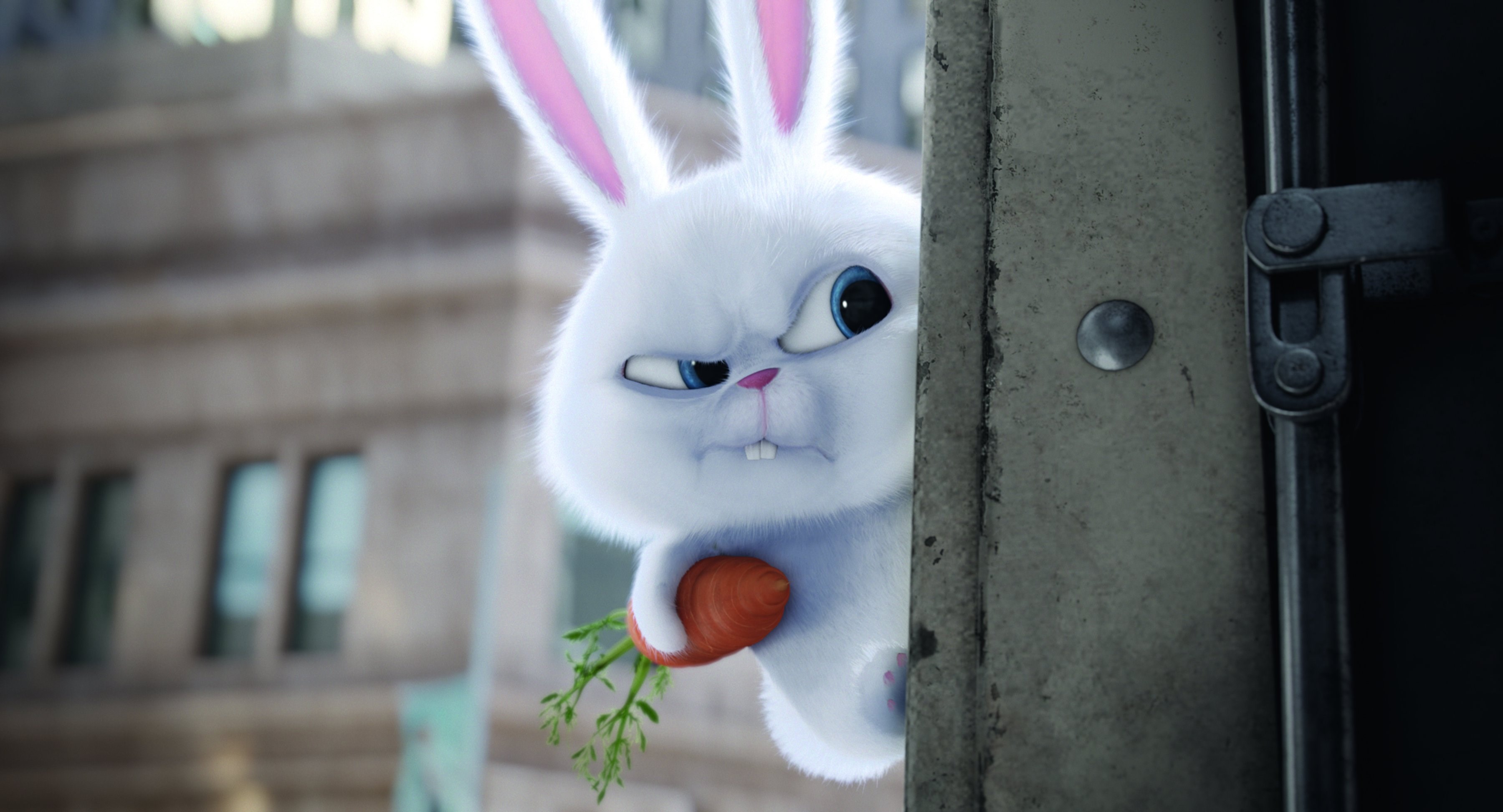 Snowflake Secret Life Of Pets - HD Wallpaper 
