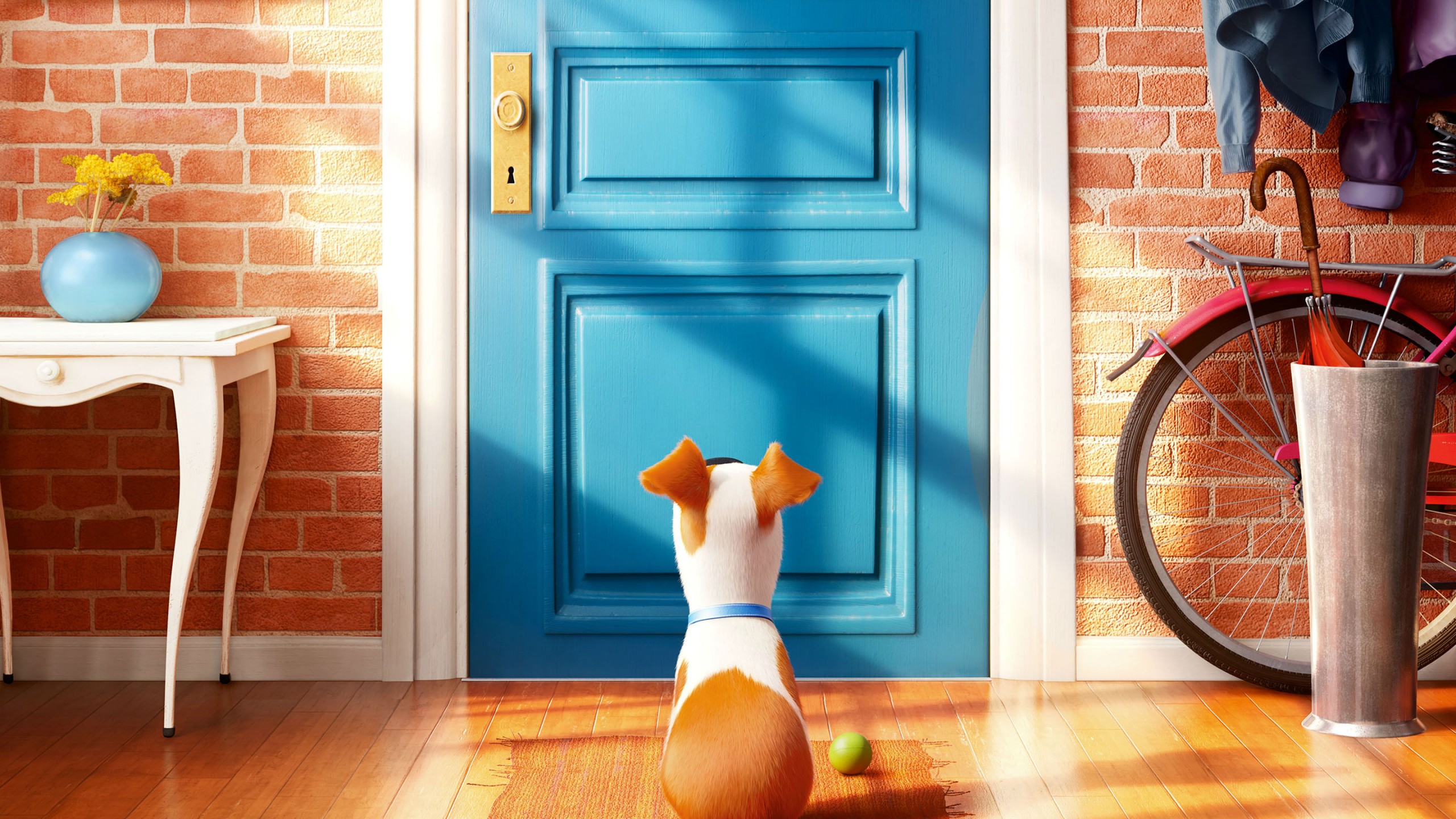 Secret Life Of Pets Door - HD Wallpaper 