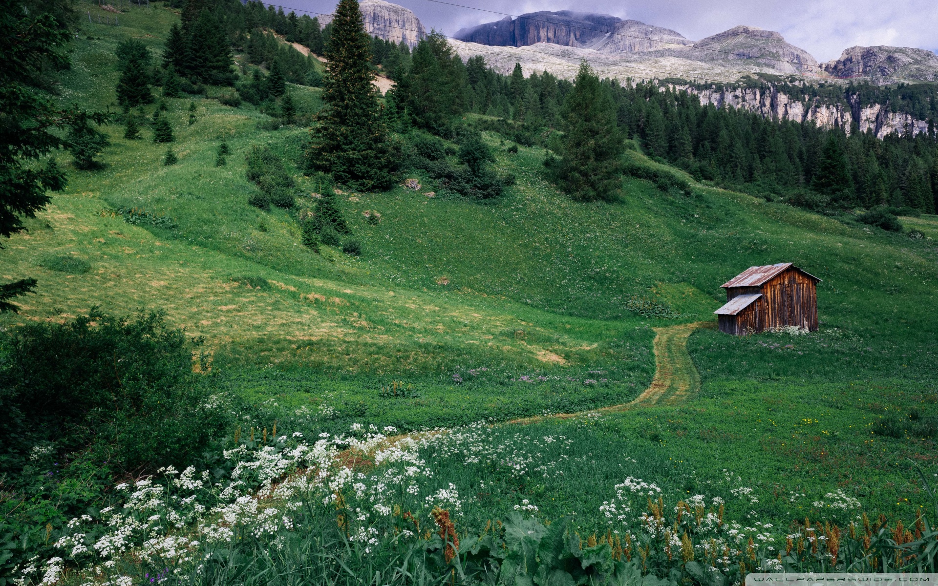 Scenery - HD Wallpaper 