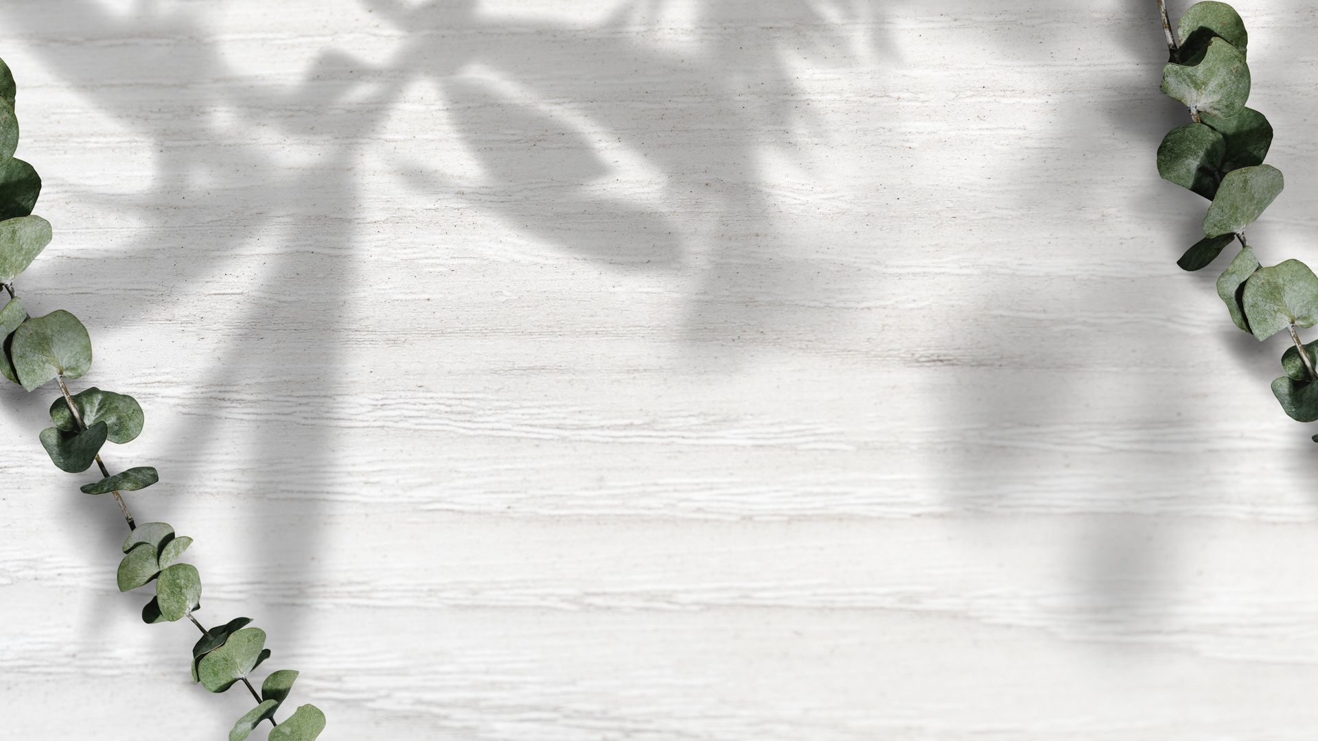 White Wall With Plants - Script Font - HD Wallpaper 