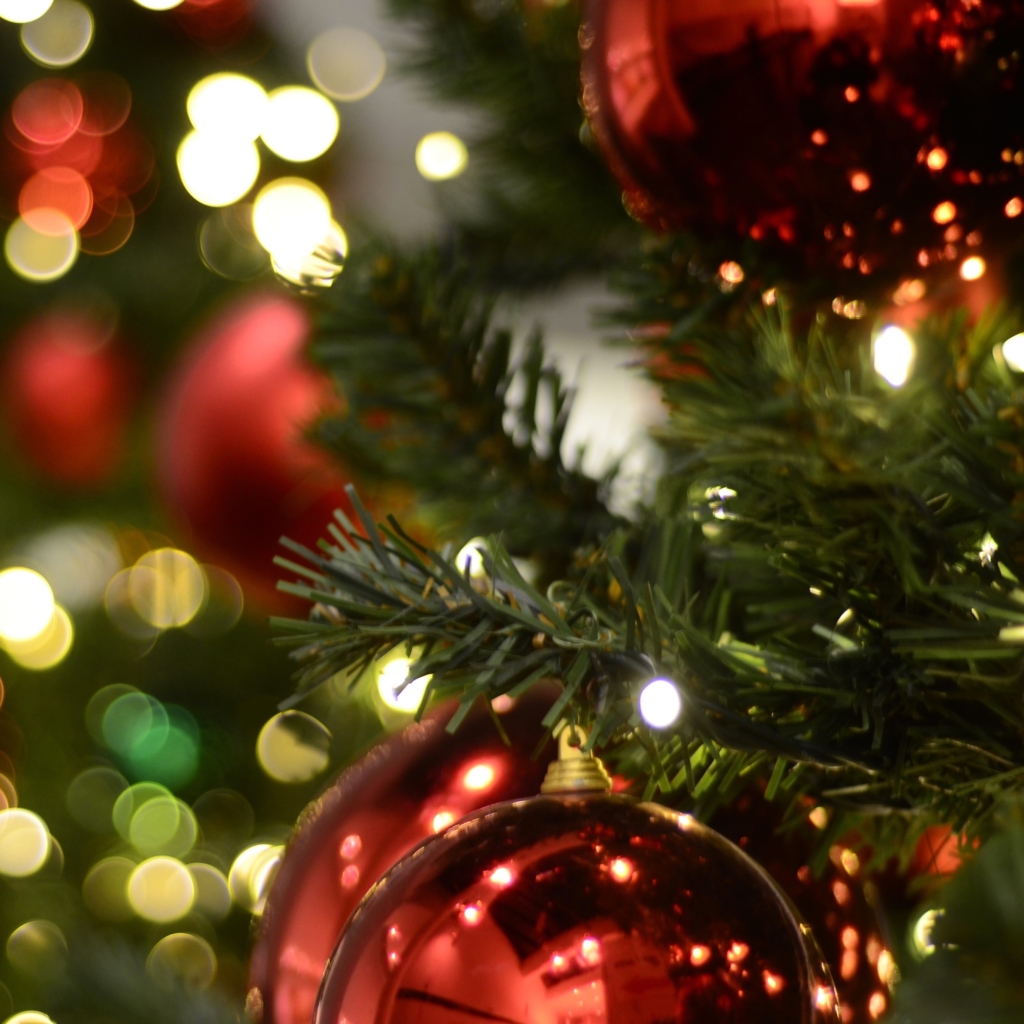 Christmas Lights And Tree - HD Wallpaper 