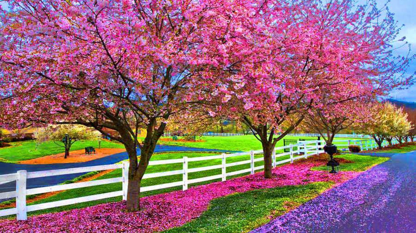 83 Entries In Spring Computer Backgrounds Group - Spring Wallpaper For Computer Background - HD Wallpaper 